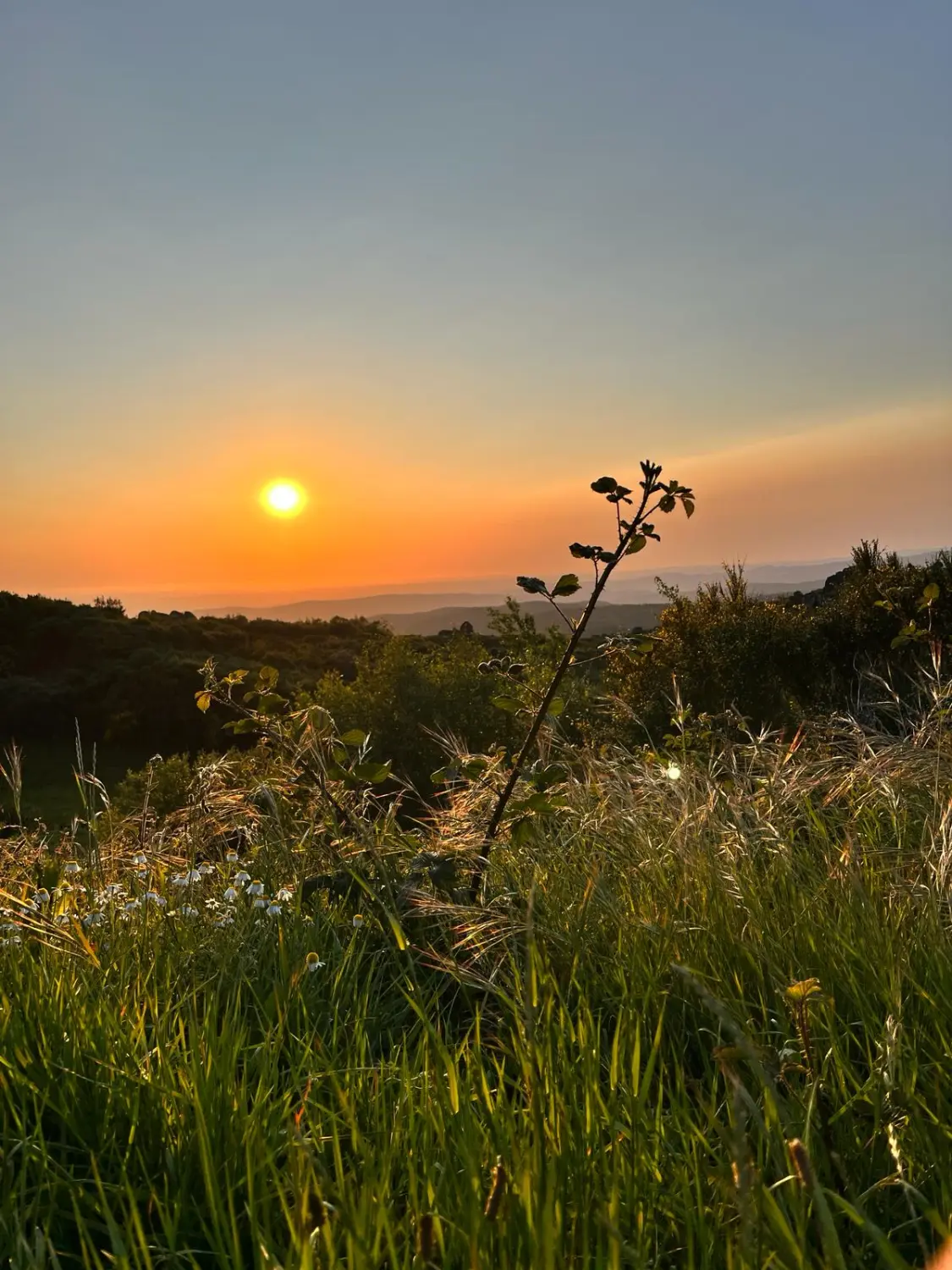 Natur von expect the unexpected